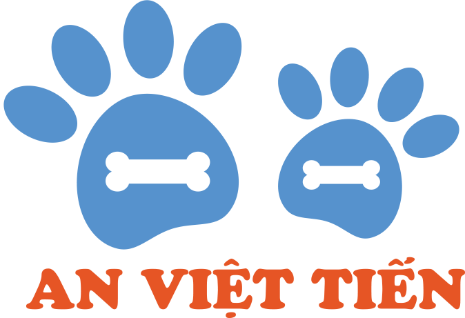 Công ty An Việt Tiến